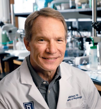 David L. Mattson