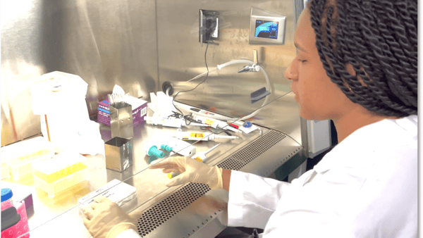 With summer’s end, a potential career path begins