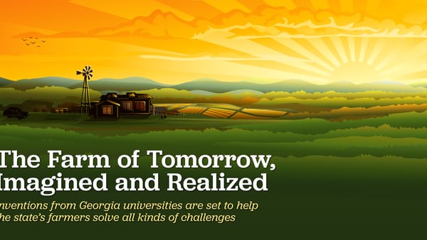 Innovating for GA Farmers