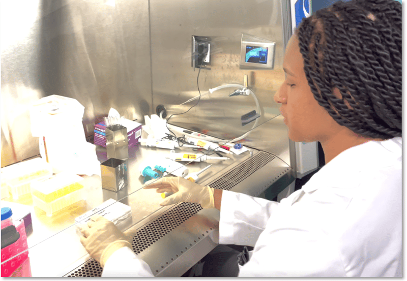 With summer’s end, a potential career path begins