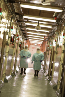 Animal Health Research Center
