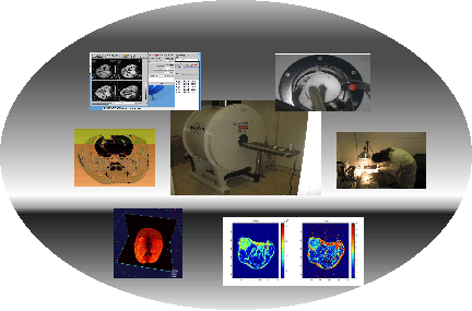 Magnetic Resonance Imaging Core Facility