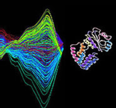 Proteomics & Metabolomics Shared Resource