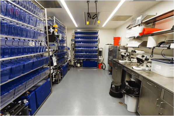 Z-Hab zebrafish recirculating aquaria systems with embryo pr…