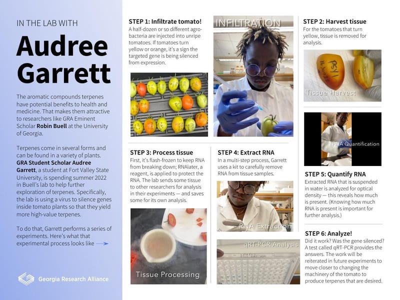 Cover of In the Lab with Audree Garrett