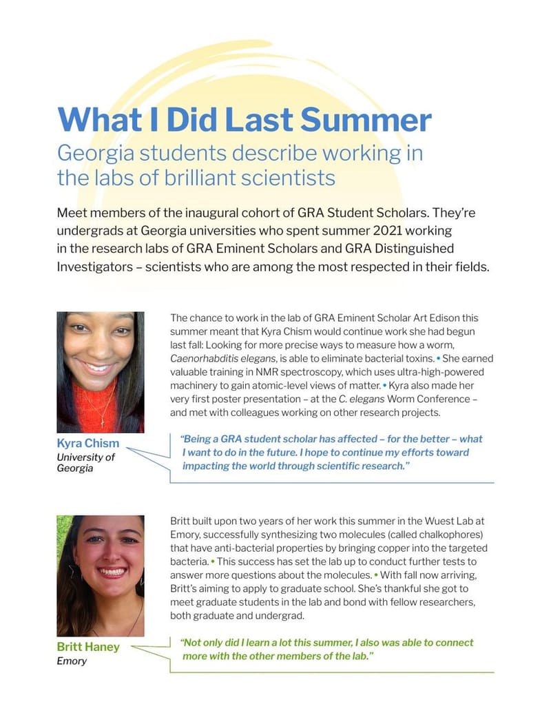 Cover of What they did last summer